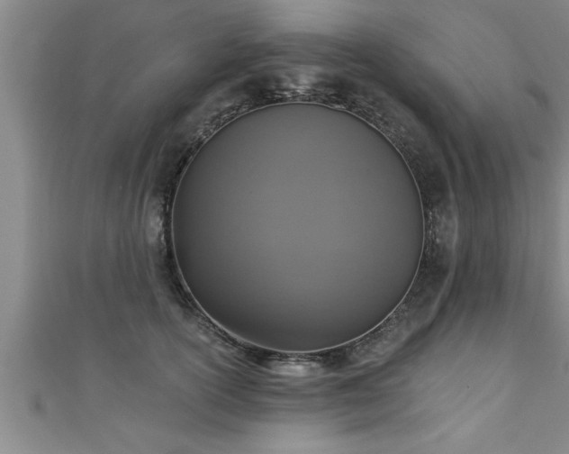 X0000111360754200907171204