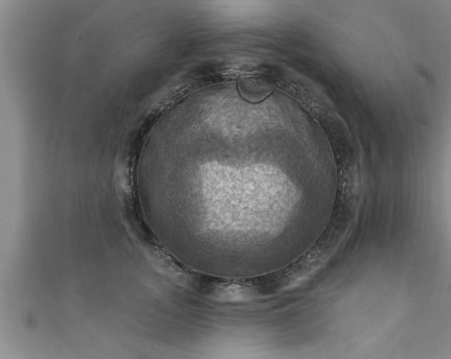 X0000111360755200907171204