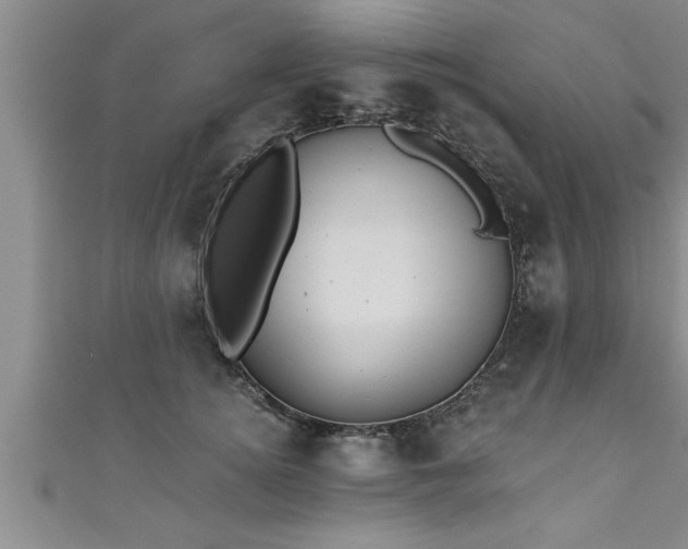 X0000111360756200907171204