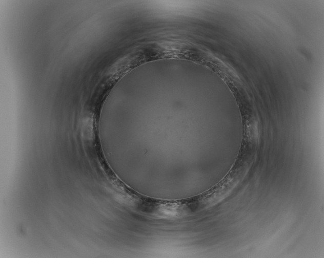 X0000111360757200907171204