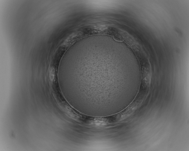 X0000111360758200907171204