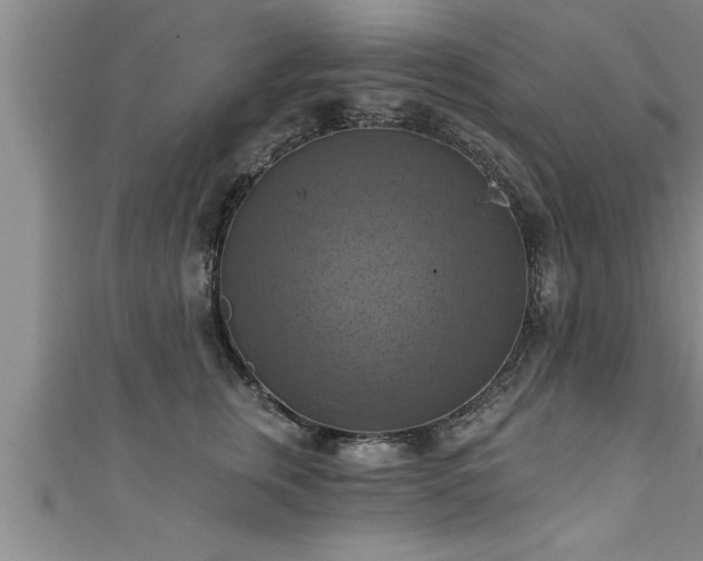 X0000111360759200907171204