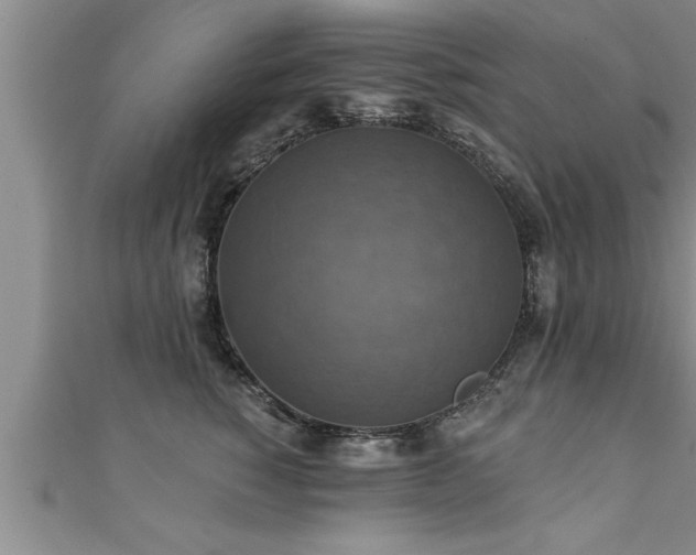 X0000111360760200907171204