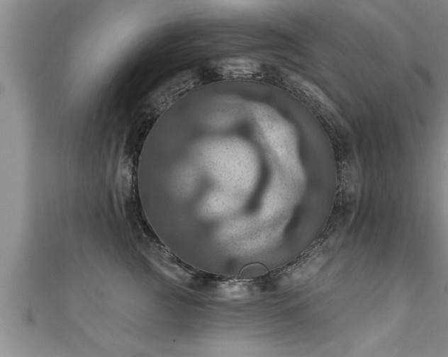 X0000111360761200907171204