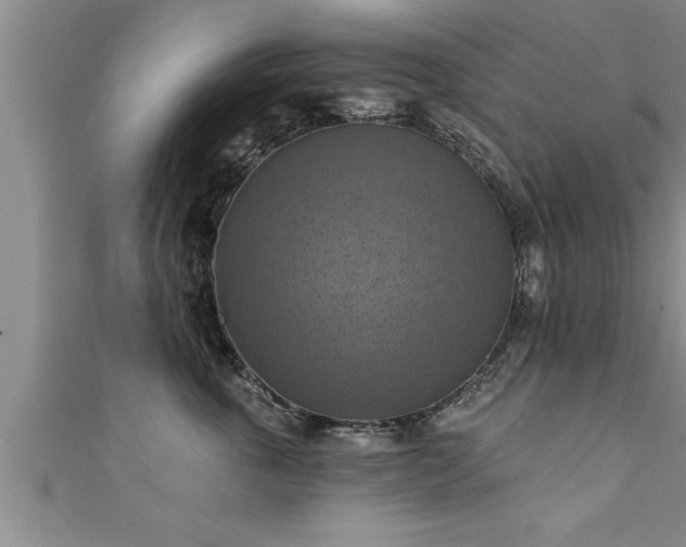 X0000111360763200907171204