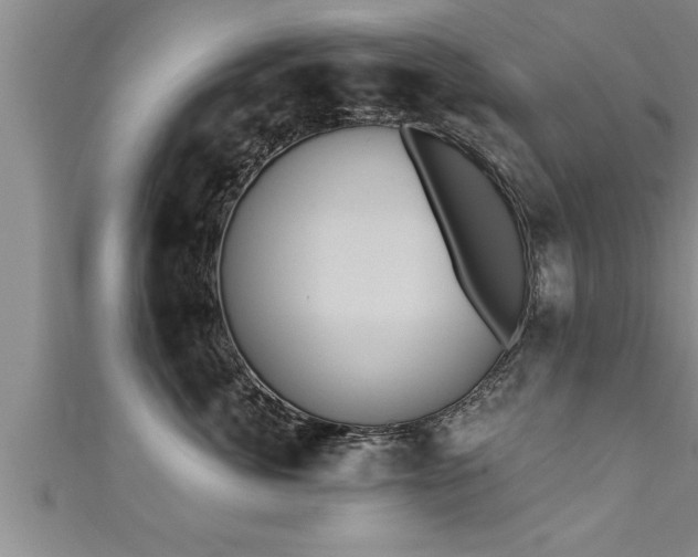 X0000111360764200907171204