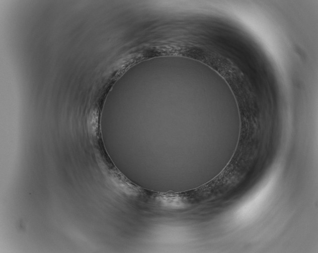 X0000111360767200907171204