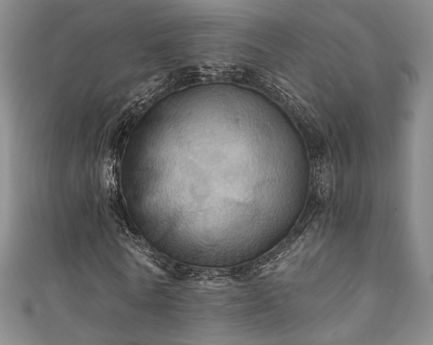 X0000111360770200907171203