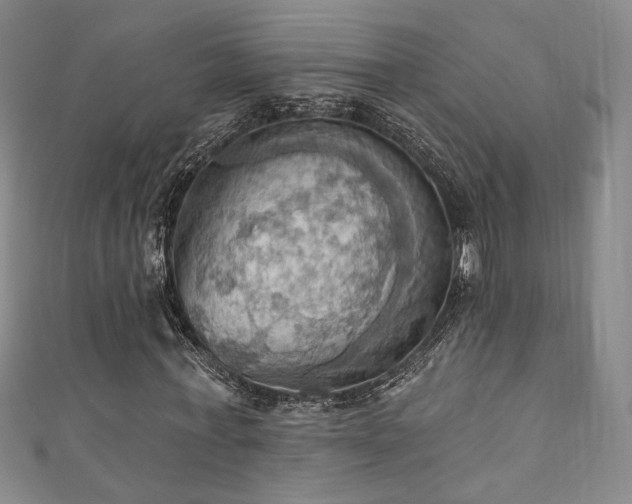 X0000111360771200907171203