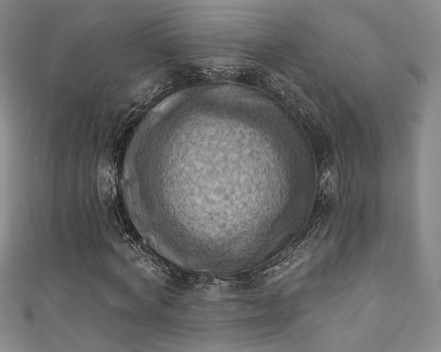 X0000111360772200907171203