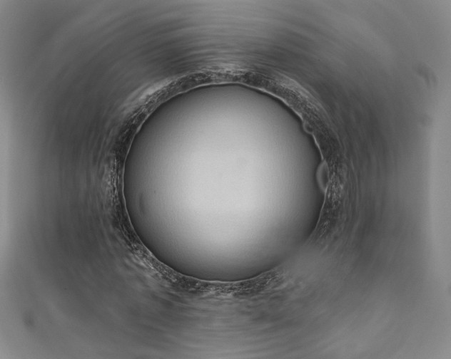 X0000111360773200907171203
