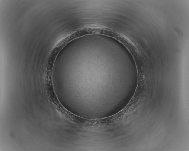 X0000111360775200907171203