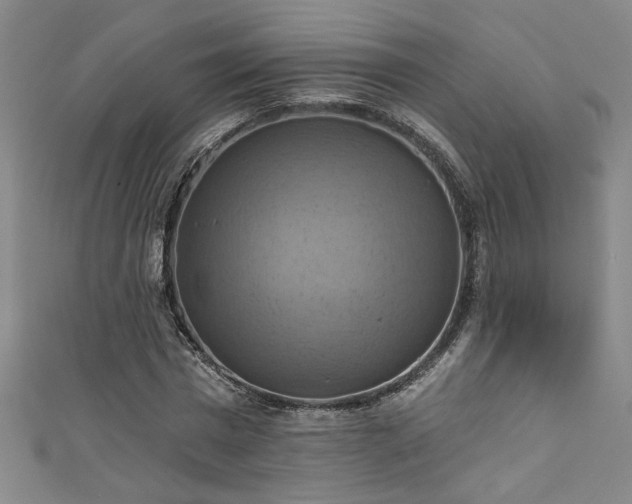 X0000111360777200907171203