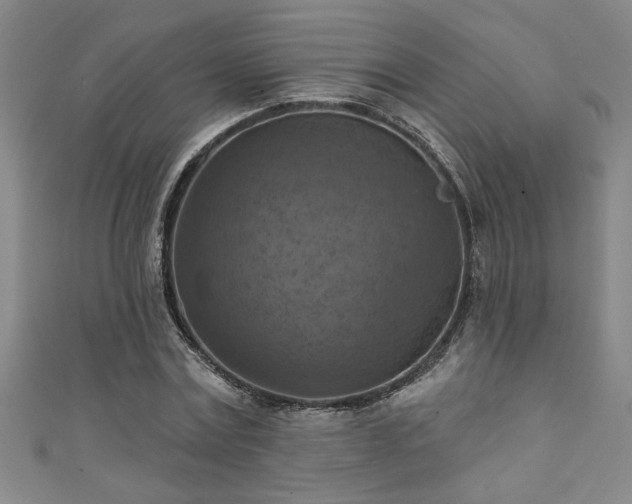 X0000111360779200907171203