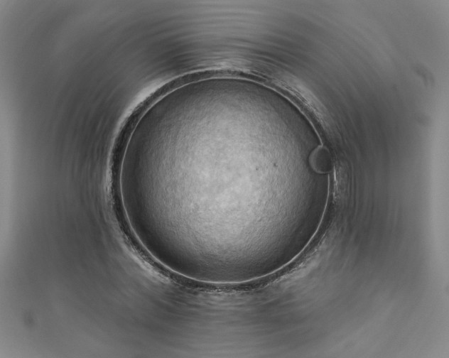 X0000111360780200907171203