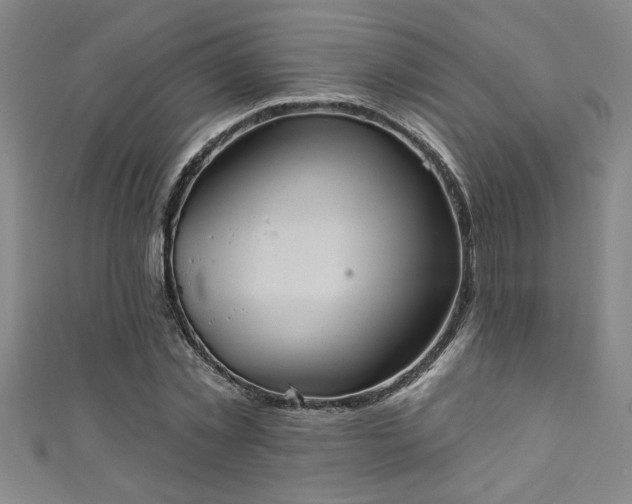 X0000111360781200907171203