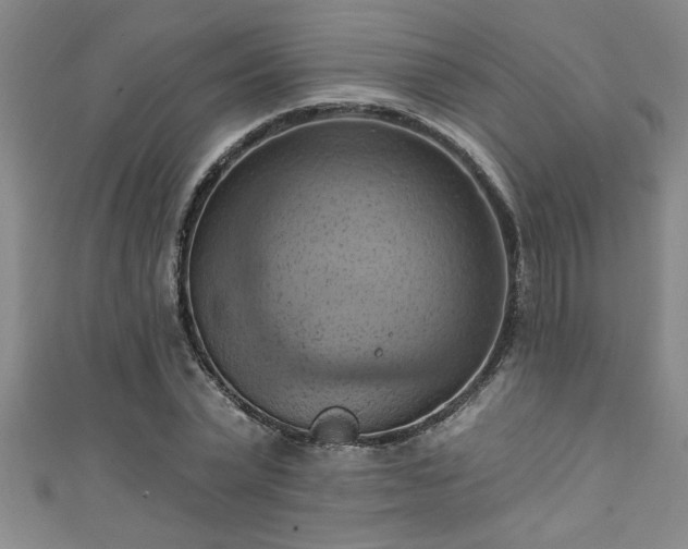X0000111360783200907171203