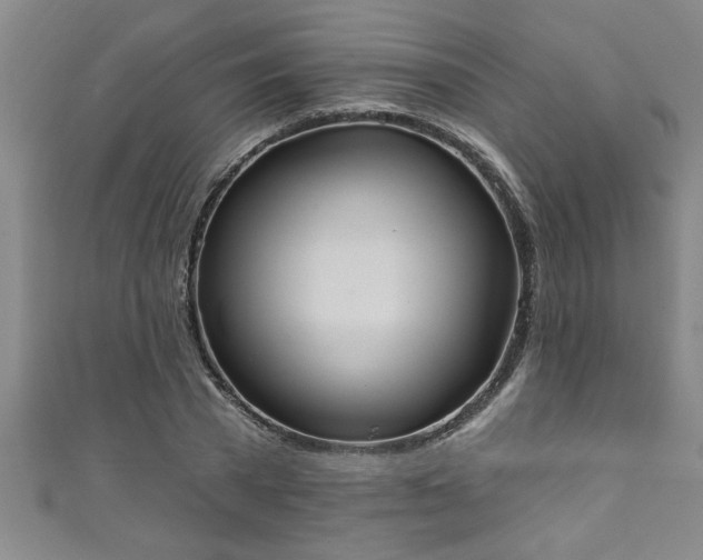 X0000111360785200907171203