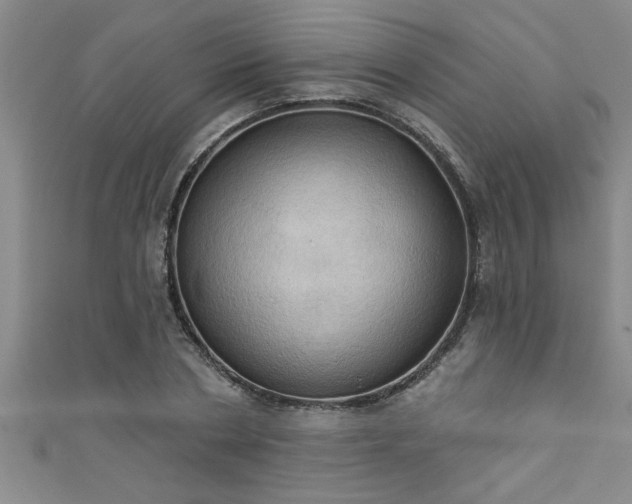 X0000111360786200907171203