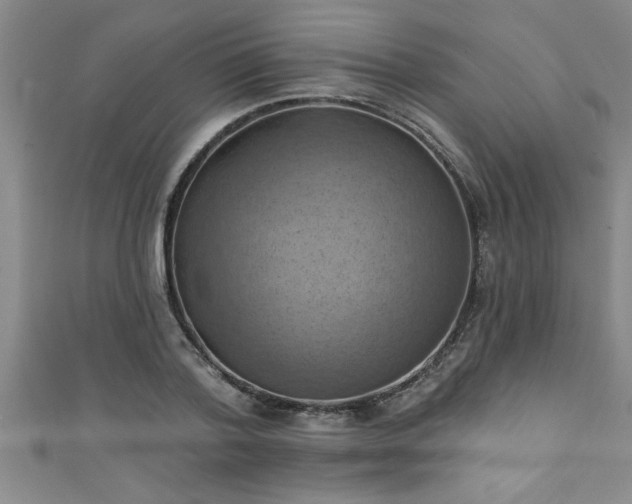 X0000111360788200907171203