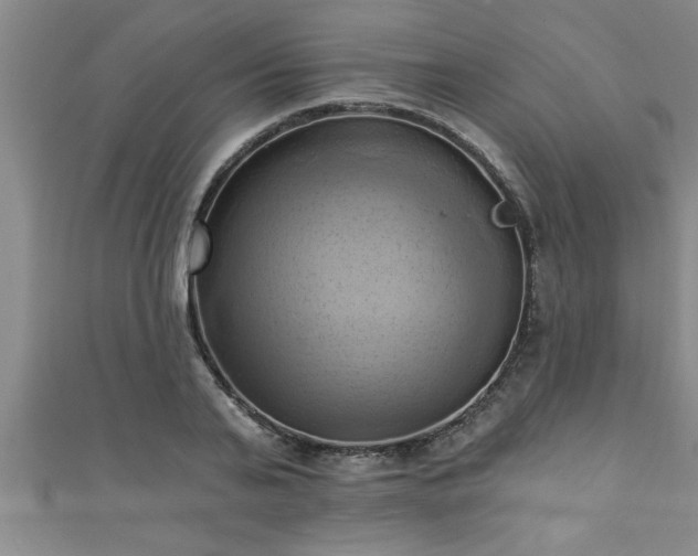 X0000111360791200907171203