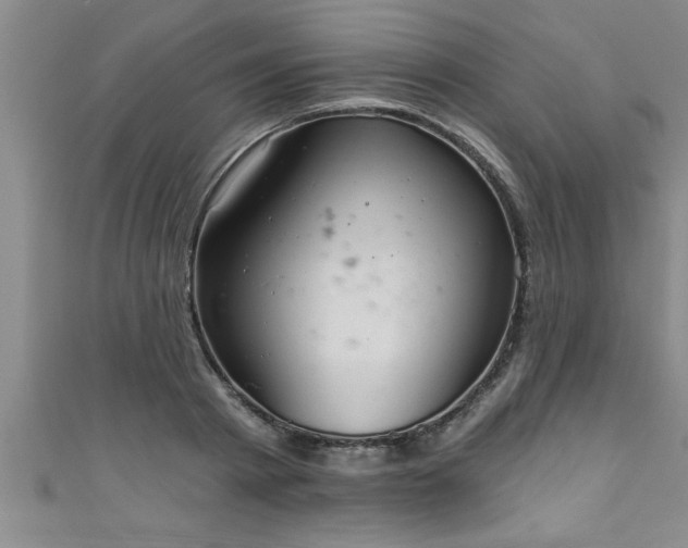 X0000111360793200907171203