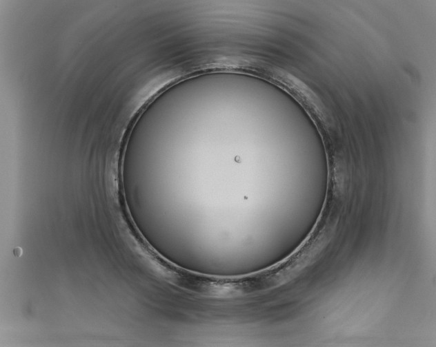 X0000111360794200907171203
