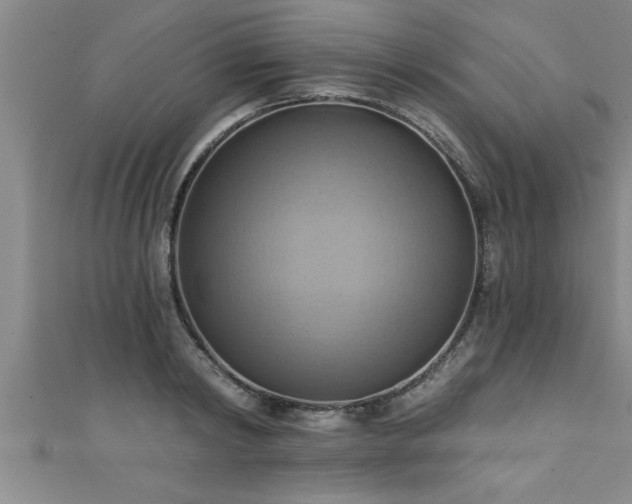 X0000111360798200907171203