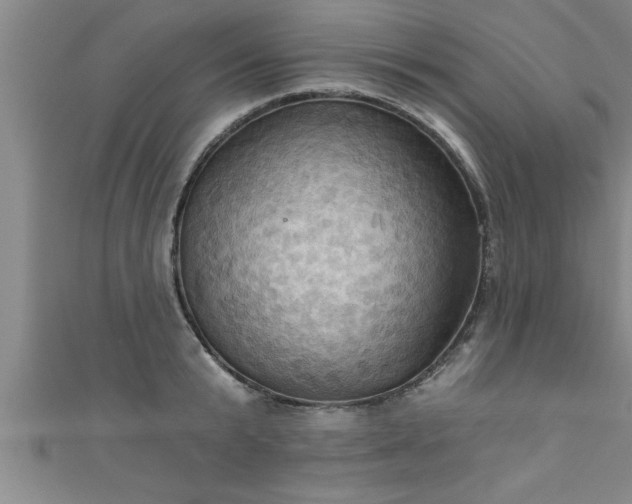 X0000111360799200907171203