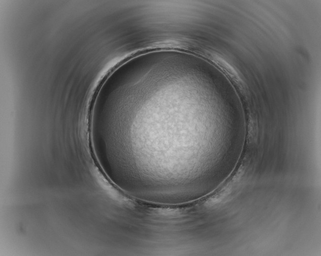 X0000111360800200907171203
