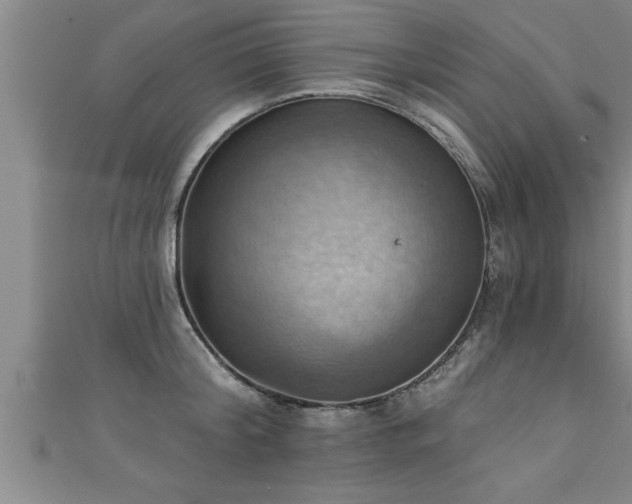 X0000111360804200907171203