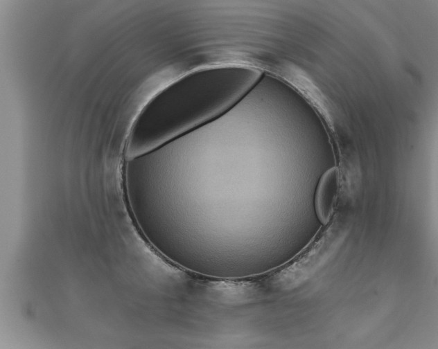 X0000111360805200907171203