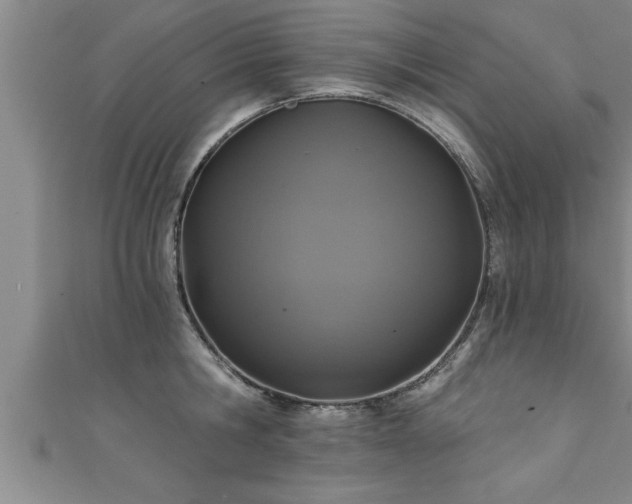 X0000111360806200907171203