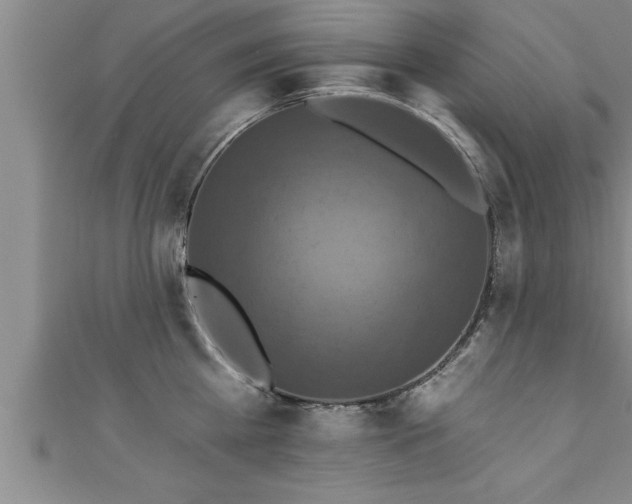 X0000111360809200907171203