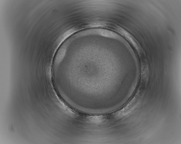 X0000111360810200907171203