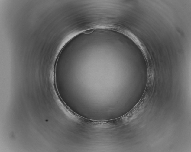 X0000111360811200907171203