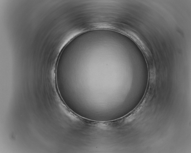 X0000111360814200907171202