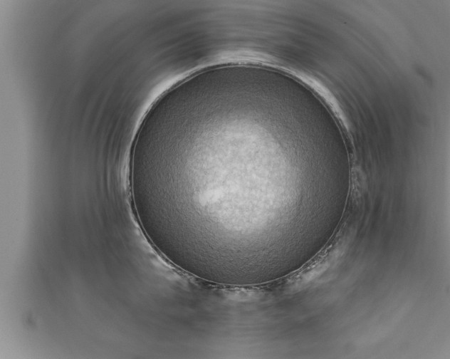 X0000111360815200907171202