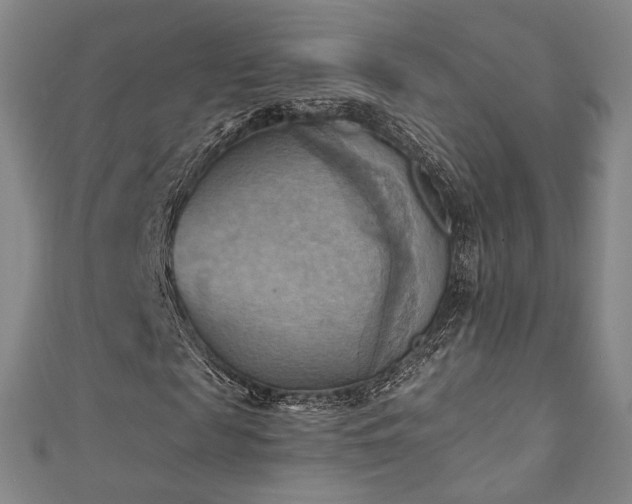 X0000111360817200907171202