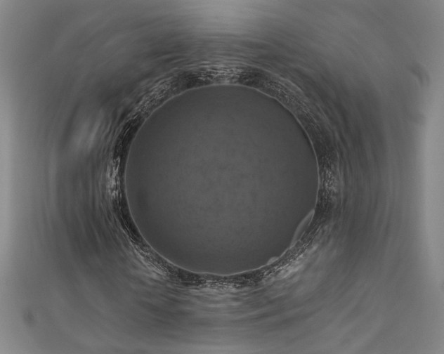 X0000111360818200907171202