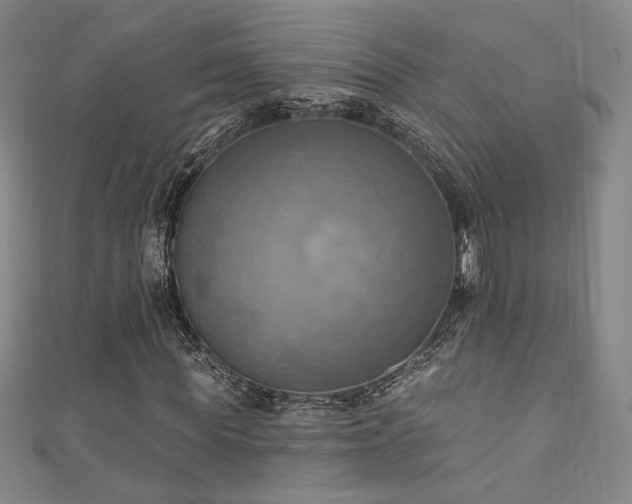 X0000111360819200907171202