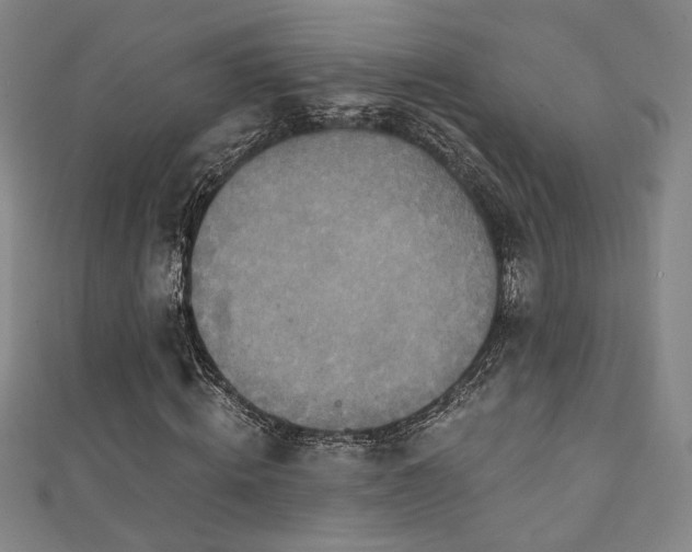 X0000111360820200907171202