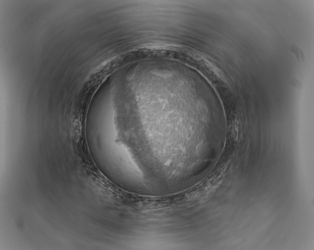 X0000111360821200907171202
