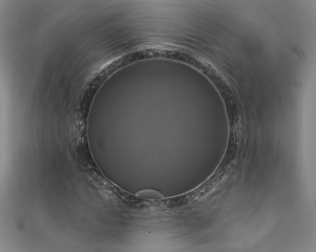 X0000111360822200907171202