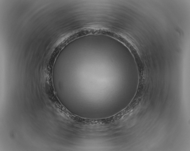 X0000111360823200907171202