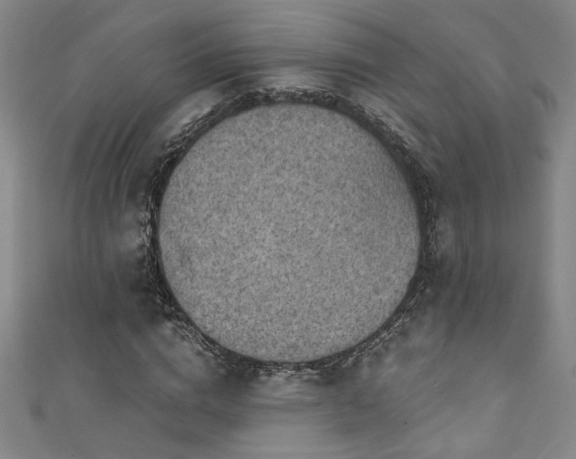 X0000111360824200907171202