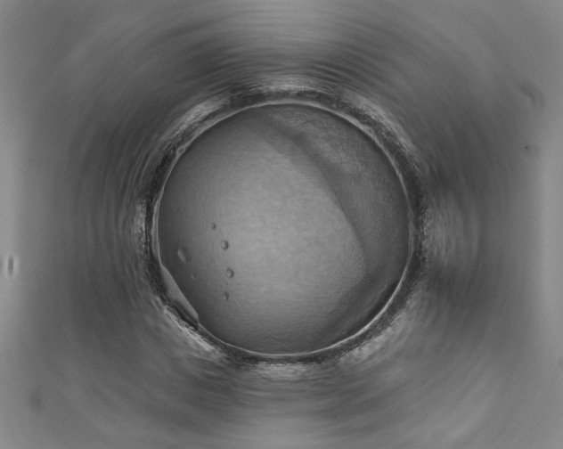 X0000111360825200907171202