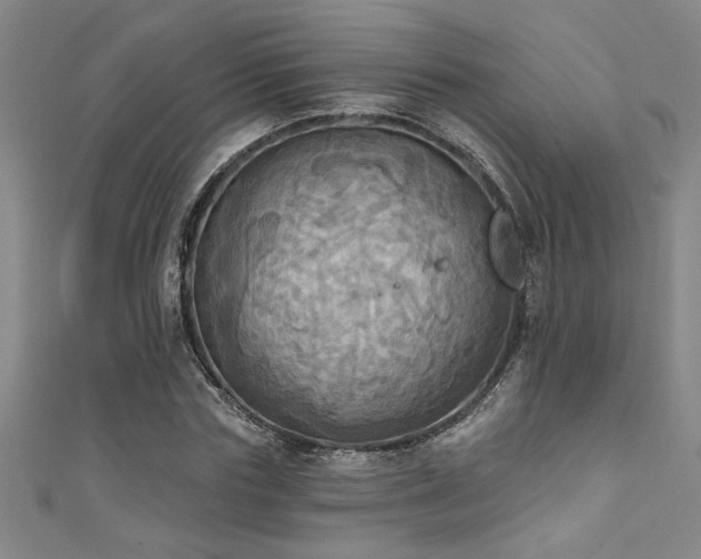 X0000111360827200907171202
