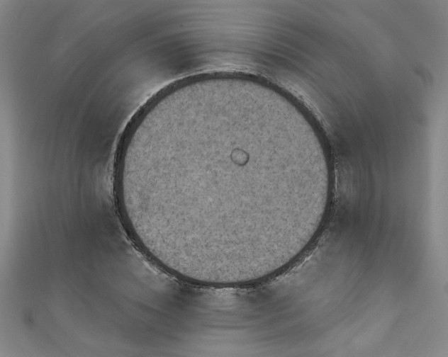 X0000111360828200907171202