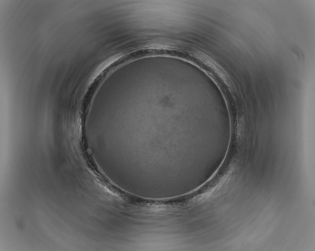 X0000111360829200907171202